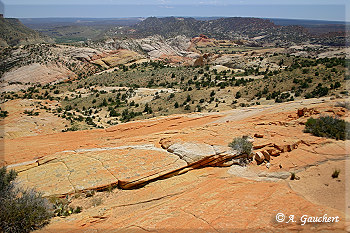 Blick vom Yellow Rock